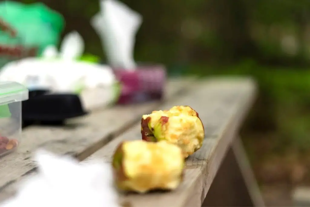 Núcleos de Apple en una mesa de picnic en un camping.